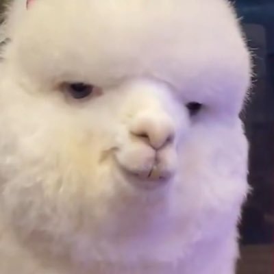 moolinyoo's profile picture. 