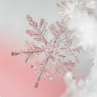 Neigeさんのプロフィール画像