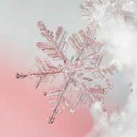 Neige (@lpha_matiere) 's Twitter Profile