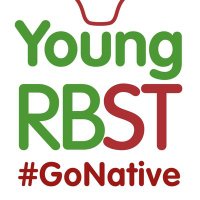 Young RBST(@YoungRbst) 's Twitter Profile Photo