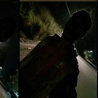 Nel (@pseudo_nel) 's Twitter Profile