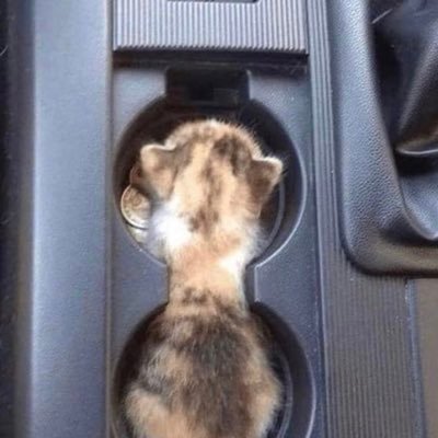 MoonadeeyA's profile picture. I want to be better on Dunya and Akhirah
The struggling of my life and the success of this