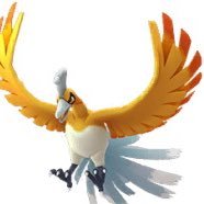 51kingさんのプロフィール画像