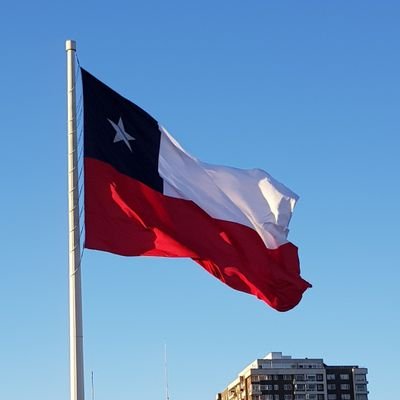 Amo Chile y sus tradiciones, el blanco, Azul y Rojo de mi Bandera, Auditor de Profesión, y Fiel al León de Collao.