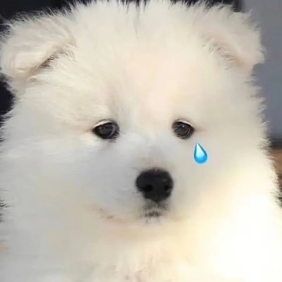 🍀さんのプロフィール画像