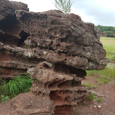 Crypto_Dragon Profile