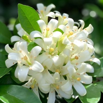 Jass040880's profile picture. Love is without motive, without a purpose. Love is its own reward.