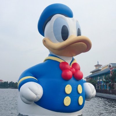 bricou1's profile picture. 努力的人，运气不会太差