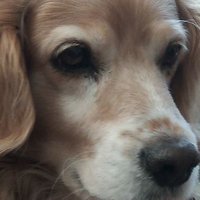 Angelica Maria (@angelic50707701) 's Twitter Profile Photo Angelica Maria (@angelic50707701) 's Twitter Profile Photo