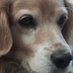 Angelica Maria (@angelic50707701) Twitter profile photo Angelica Maria (@angelic50707701) Twitter profile photo