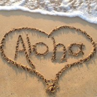 DiveAloha(@Aloha1Dive) 's Twitter Profile Photo