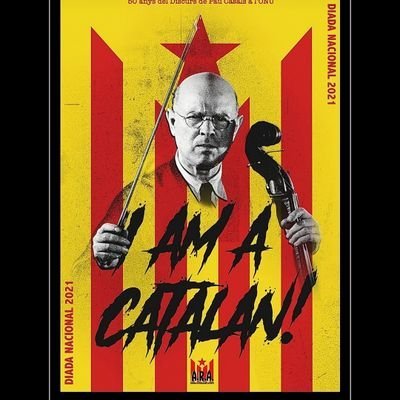 EstherValMol's profile picture. Som una eina de la gent per fer millor la vida de la gent, protegir la gent perque tinguin una vida digna i que desenvolupin les seves activitats amb seguretat.