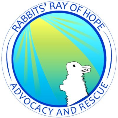 🐰 Advocacy for health research nationally
🐰 Rescue in #Colorado
🐰 Emergency vet advice by phone
💖 #ResidentialRabbits #DomesticRabbits #HouseRabbits 💖