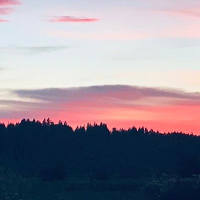 LaurenR76771853's profile picture. Looking for a Boyfriend