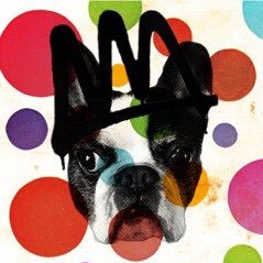 suden's profile picture. self employed :: trader :: investor