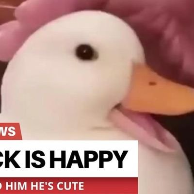 Randomg62115856's profile picture. 