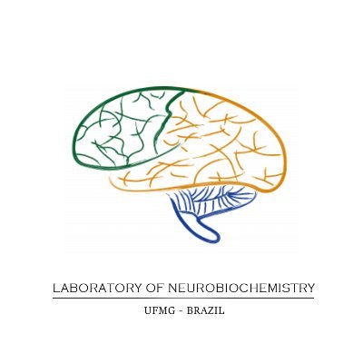 Laboratório de neurobioquímica - UFMG
Instagram: @lab.neurobioquimica