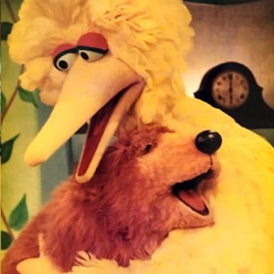 29, they/he. 💕: furby + dragons + 90s nick + big bird + beanie babies + mlp + eeyore + care bears + animatronics + nostalgia |