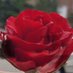 قوت القلوب (@lyale_njd_1) Twitter profile photo قوت القلوب (@lyale_njd_1) Twitter profile photo