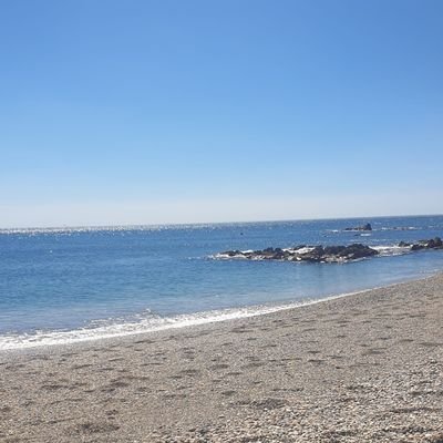 Dariomarpi's profile picture. 