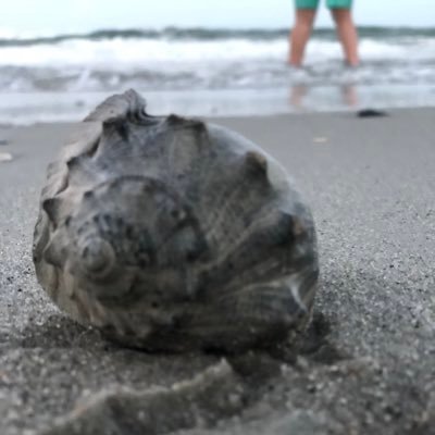 theworkinggal2's profile picture. 30 something Working 👩🏼‍💻. Momma, sister, significant other, best friend, and professional. Working with a cup of ambition, and to change the world.