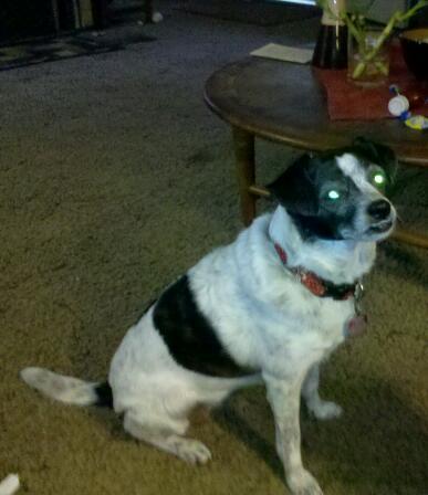 ValeriaWStephen's profile picture. 