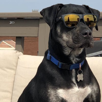 TheChamp712's profile picture. 