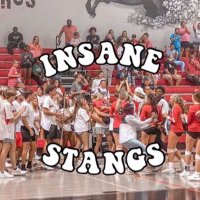 InsaneStangs (@insane_stangs) 's Twitter Profile