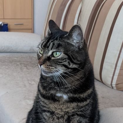 ABlinne's profile picture. @sunday@toot.monny.cloud