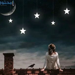 eO60edspXu2034V's profile picture. سوف أسعى إلى أن أصل