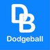 Dodgeball (mobile app) (@DodgeballApp) Twitter profile photo