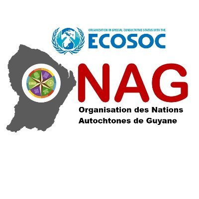 L'ONAG est une association loi 1901, dotée du statut consultatif spécial des Nations Unies, dont l'objet est la défense des droits des peuples amérindiens.