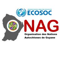 Organisation des Nations Autochtones de Guyane(@onag973) 's Twitter Profile Photo