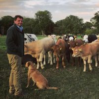 Newton Farms (@george_hurrell) 's Twitter Profile