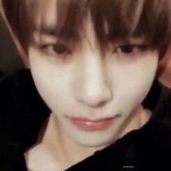 apolibera's profile picture. moved