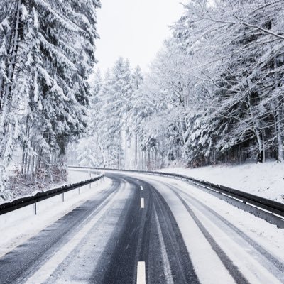 StefanoL's profile picture. 