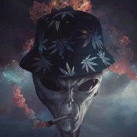 Kid Vishis The Now King (@kidvishis) 's Twitter Profile