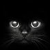 mara_aos (@mara_aos) Twitter profile photo mara_aos (@mara_aos) Twitter profile photo