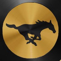 McCool Junction Mustangs(@mcjmustangs) 's Twitter Profile Photo