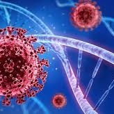 lockoutworkers1's profile picture. Resist the threat to Human Rights. A Stance for Freedom of choice. Covid Vaccine or No Vaccine. Highlighting the Injustice of Mandatory Vaccination.