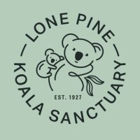 Lone Pine Koala Sanctuary(@lonepinekoala) 's Twitter Profile Photo