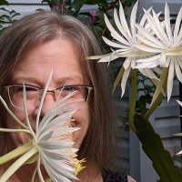 Nellie Neal (@thegardenmama) 's Twitter Profile