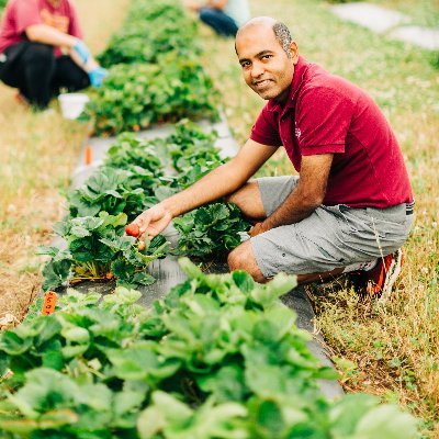 Associate Professor and Small Fruit Extension Specialist at Virginia Tech. VTBerryBITES (Business,Innovation,Technology,Environment,Science)