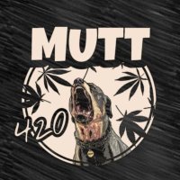 Muttx420 (@matt06561260) 's Twitter Profile
