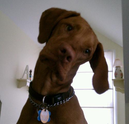 CrimSoft's profile picture. 