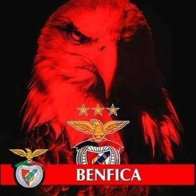 Benfica Sem Limites