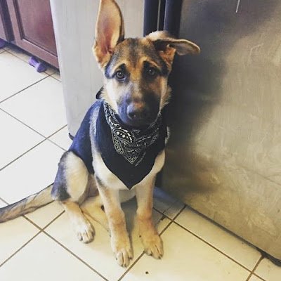 absoluteWx's profile picture. 