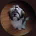 NanaGrams (@noevils) Twitter profile photo NanaGrams (@noevils) Twitter profile photo