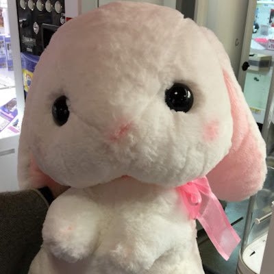 2wyagvTPWsRNirG's profile picture. 