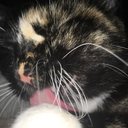 Eli Kendrick - @EliKendrick2 - Twitter